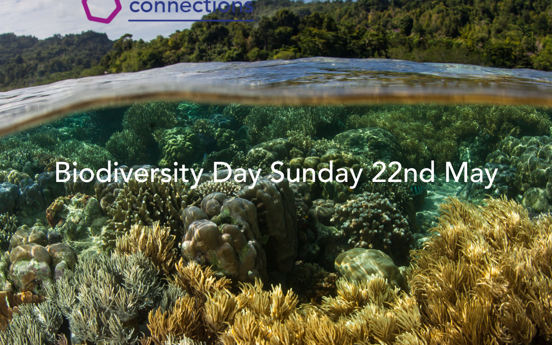 Biodiversity Day 22nd May