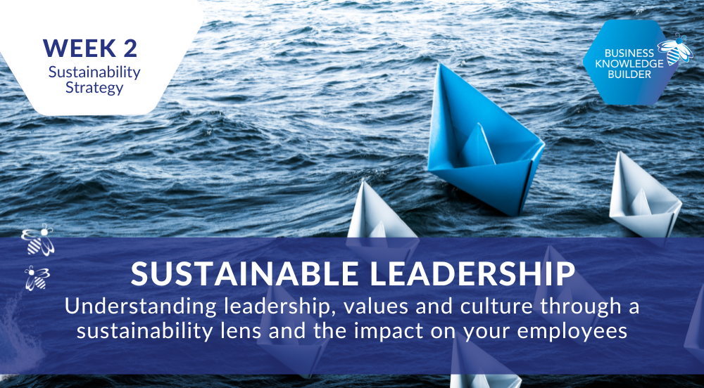 Sustainability Strategy: the Fundamentals week 2 banner - Sustainable Leadership. A background image of a blue paper boat leading a group of white paper boats on a body of water. 