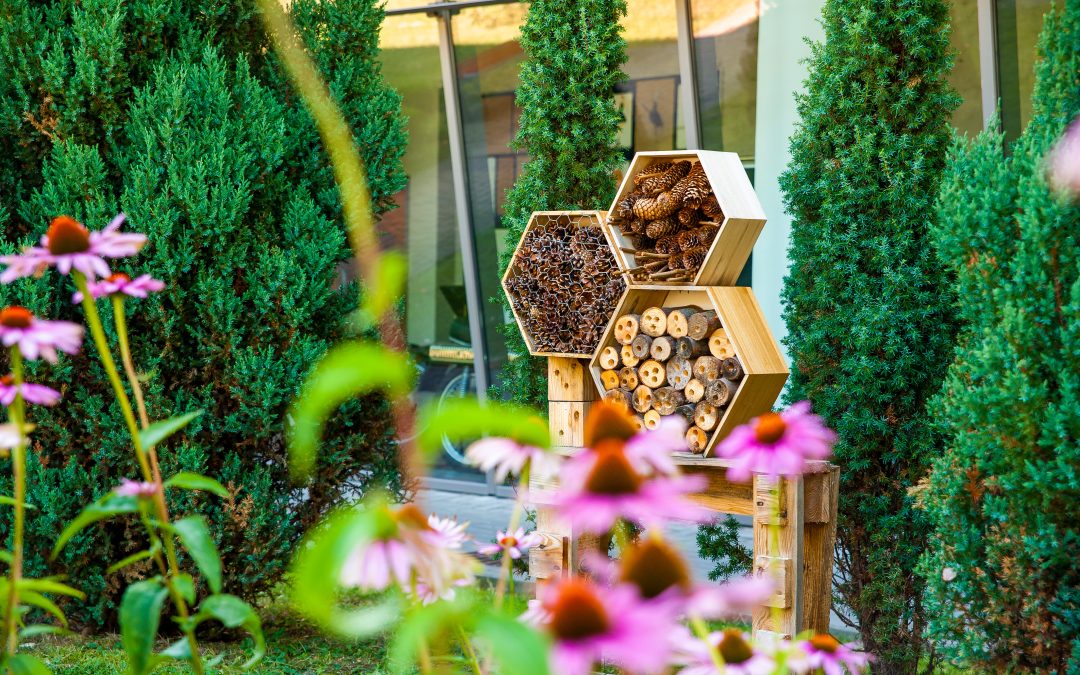 Putting biodiversity at the heart of sustainable business
