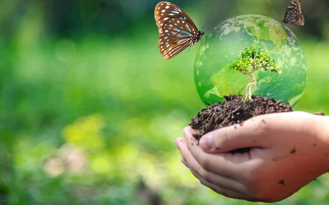 How Can My Business Reduce Its Carbon Footprint?