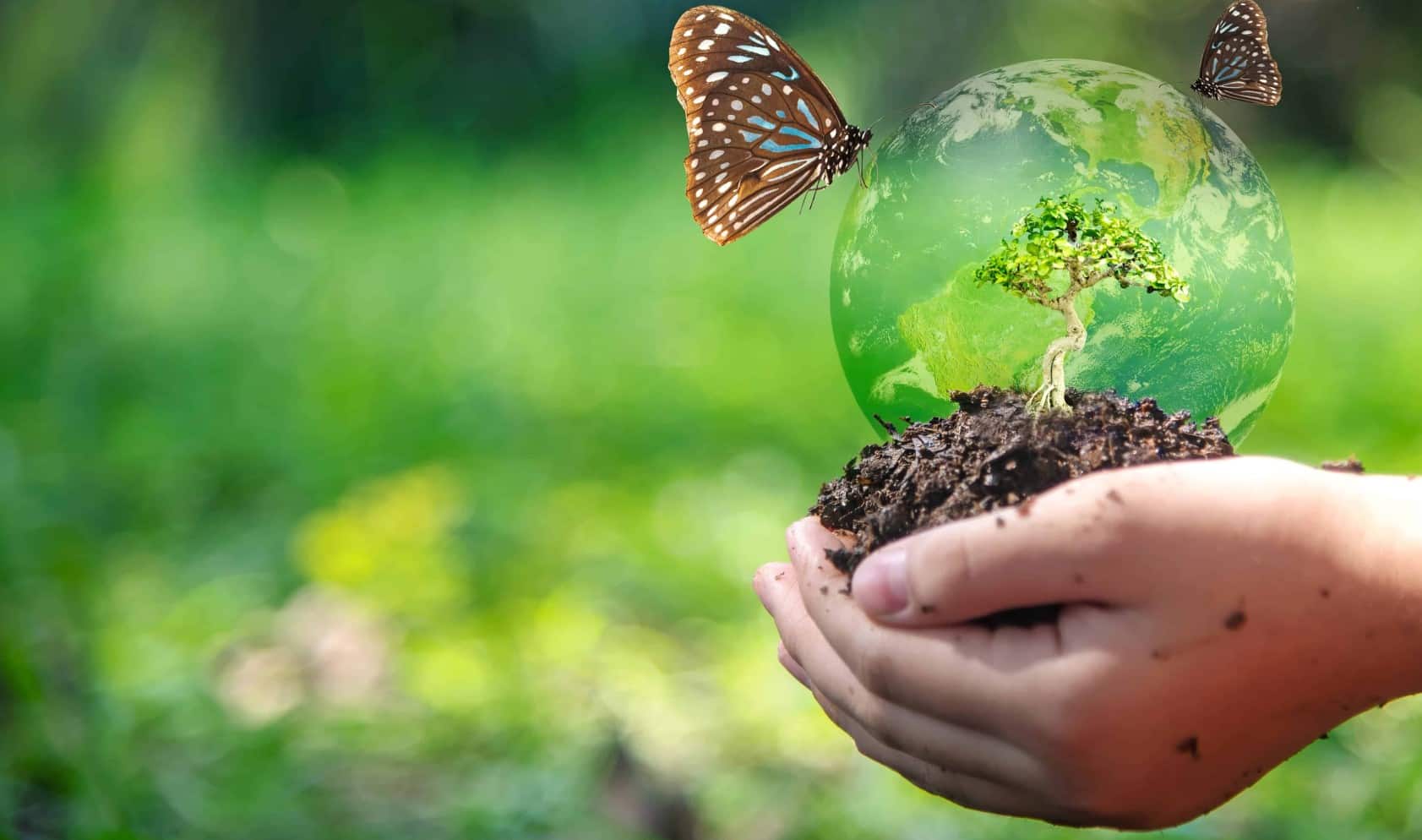 Reducing carbon footprint
