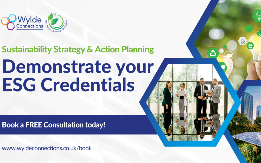 What is an ESG Consultant and Strategy?