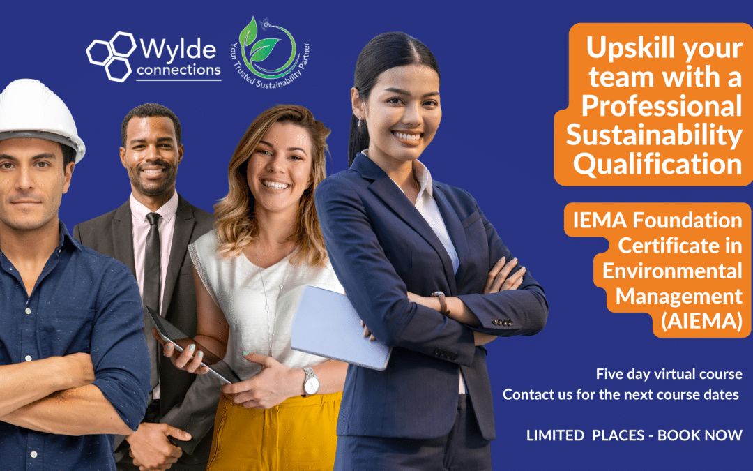 Upskilling in Sustainability: A Smart Move for your Career