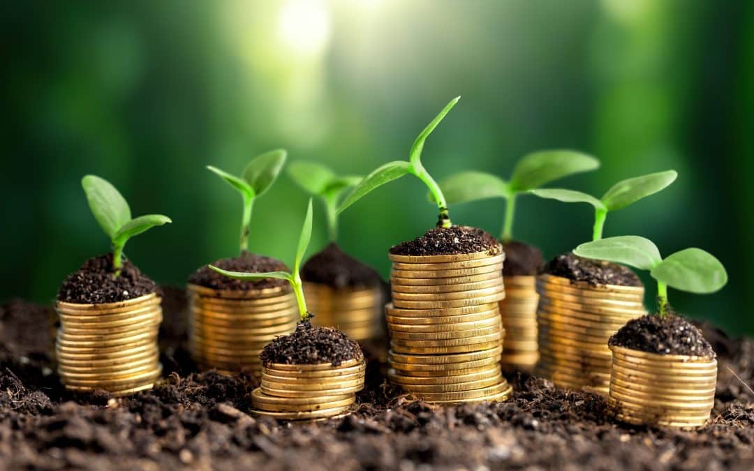 Taskforce on Nature-related Financial Disclosures (TNFD) – What it means for business