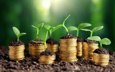 Taskforce on Nature-related Financial Disclosures (TNFD) – What it means for business