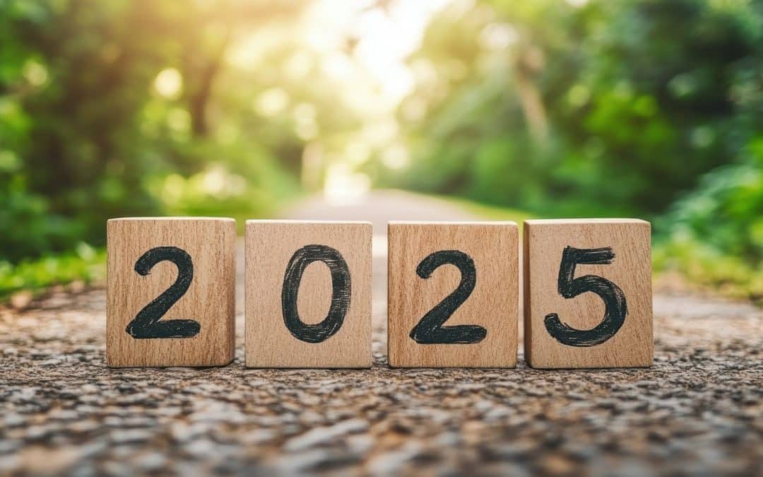 2025 Round Up – Wylde Connections celebrates a year of key milestones