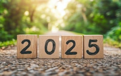 2025 Round Up – Wylde Connections celebrates a year of key milestones