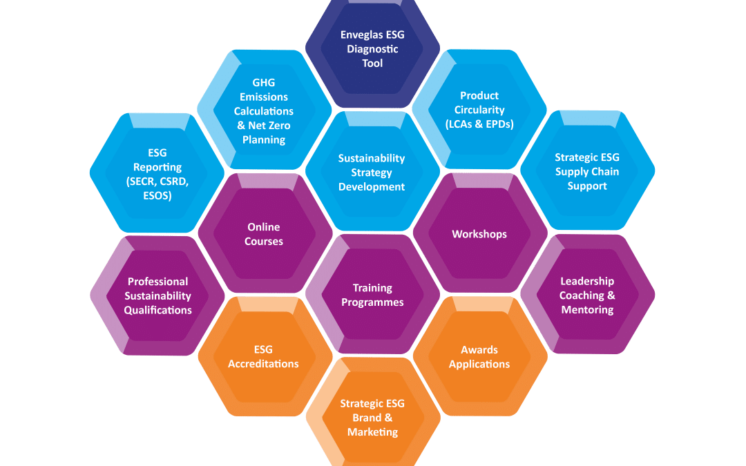 What is the Wylde Hive? Our integrated approach to ESG consultancy, training and communications services