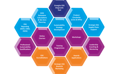 What is the Wylde Hive? Our integrated approach to ESG consultancy, training and communications services