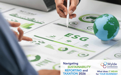 Wylde supports businesses in navigating sustainability reporting and taxation