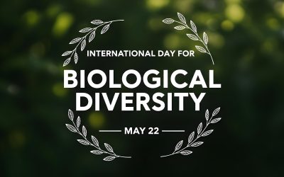 Nature means business: why biodiversity should be at the heart of every sustainability strategy