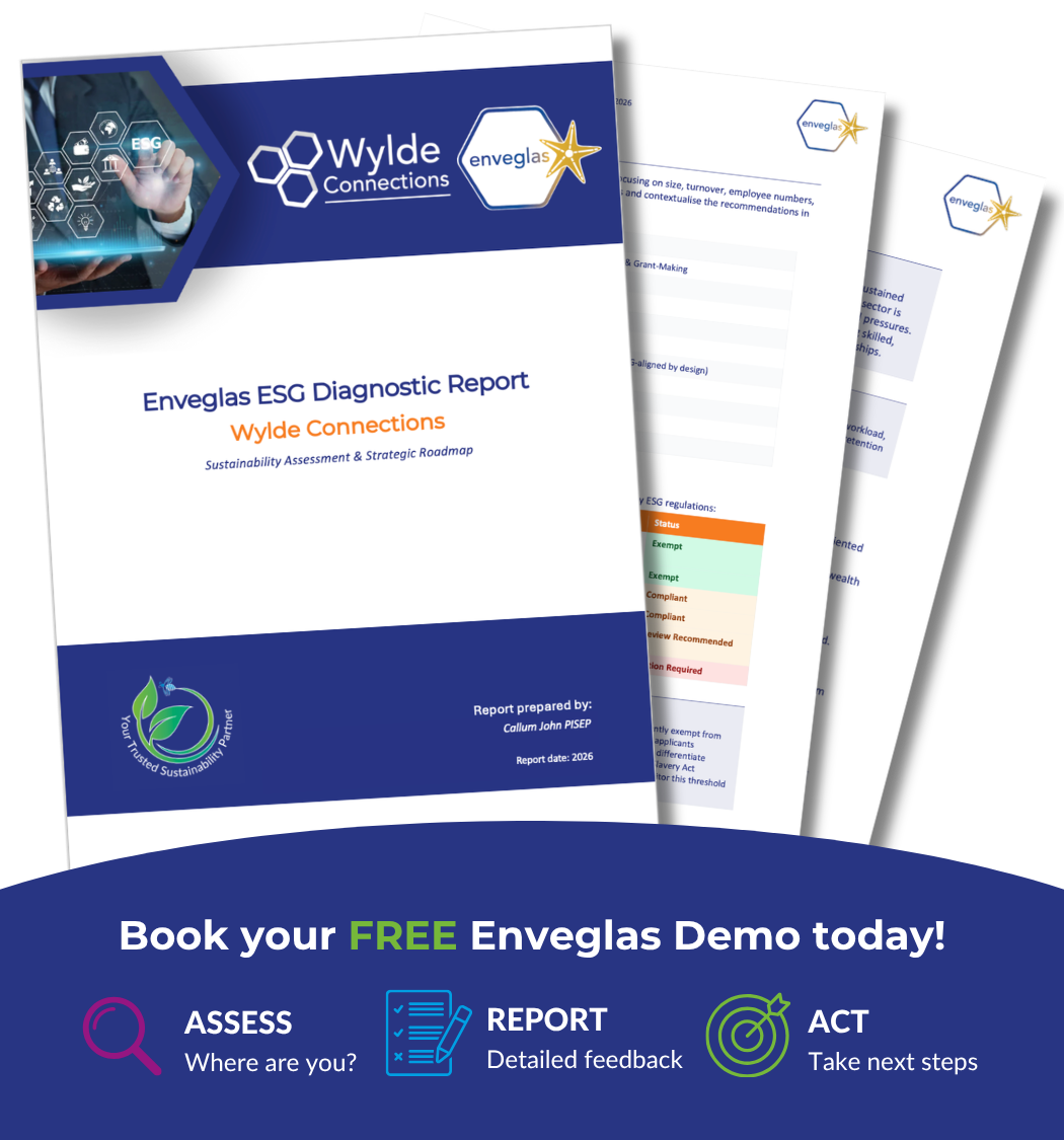 Enveglas ESG diagnostic report sample