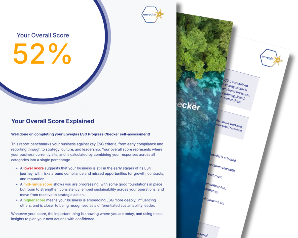 Example - ESG Progress Checker highres Enveglas ESG Progress Checker report sample