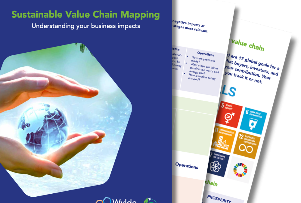 FREE Sustainable Value Chain Mapping Guide for UK SMEs