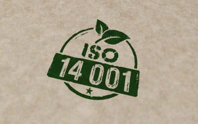 ISO 14001:2026 is here: What the changes mean for your business