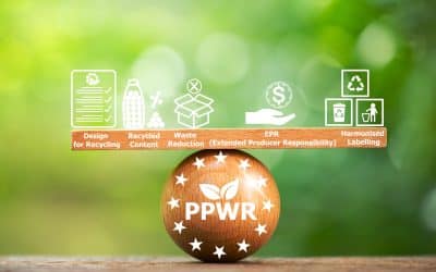 PPWR is now in force: What UK businesses exporting to the EU need to do next